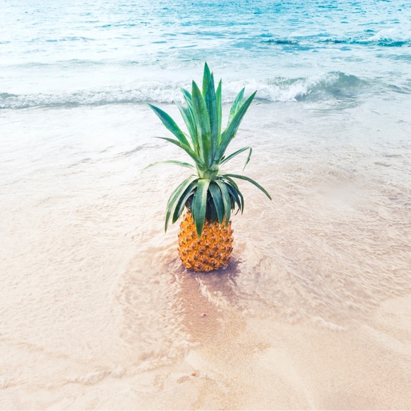 Welcome to Pineapple Palmz!  Where everyday is a fun day in the sun! - Picture 8 of 9